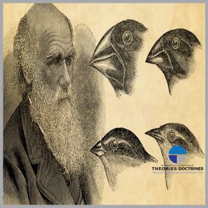 نظریه تکامل داروین