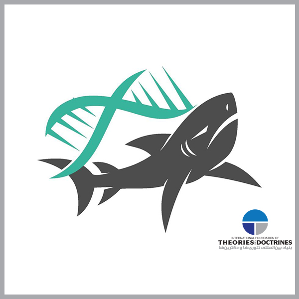 الگوی ژنتیکی 2